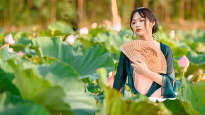femme, flower background, maquette, fleurs, fond d'écran fleur, fleurs de lotus, ventilateur, nature, belles fleurs, étang, bloom, style