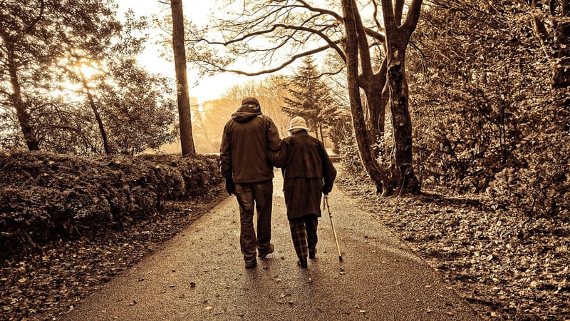 couple de personnes âgées, nature, en marchant, parc, des arbres, en plein air, exercer, dans les bras l'un de l'autre, marcher bras dessus bras dessous, troubles de la vision, monochrome, sépia