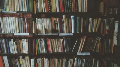 bibliothèques, livres, étagères, connaissance, une bibliothèque, littérature, des romans, lis, en train de lire, bookworm, livres, livres, livres, livres, livres, littérature