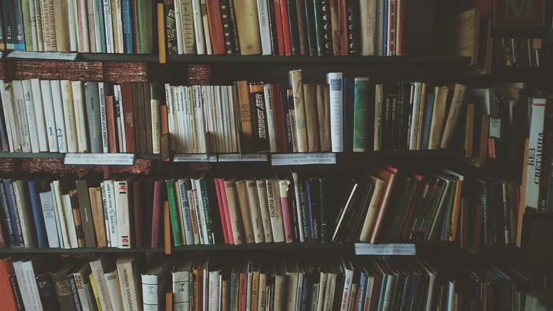bibliothèques, livres, étagères, connaissance, une bibliothèque, littérature, des romans, lis, en train de lire, bookworm, livres, livres, livres, livres, livres, littérature