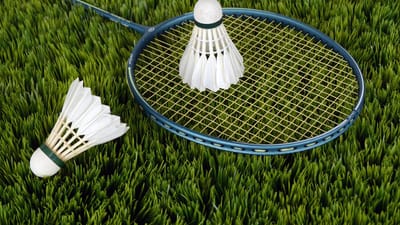 badminton, sport, volants, raquette, raquette de badminton, jeu, jouer, loisirs, les sports de loisirs, badminton, badminton, badminton, badminton, badminton, sport