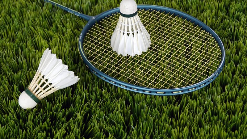 badminton, sport, volants, raquette, raquette de badminton, jeu, jouer, loisirs, les sports de loisirs, badminton, badminton, badminton, badminton, badminton, sport