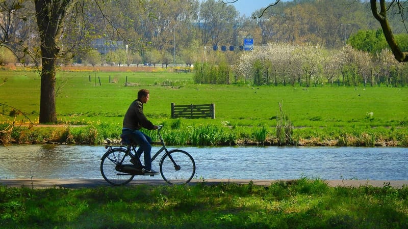 cycliste, balade à vélo, transport, destination, des loisirs, loisirs, activité physique, route le long de la rivière, prairie, activité physique, activité physique, activité physique, activité physique, activité physique