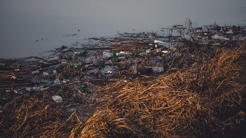 déchets plastiques, bouteilles en plastique, plastique, des ordures, pollution des eaux, gaspillage, protection de l'environnement, environnement, fleuve, l'eau, la pollution, recyclage, nature, déchets, décharger, écologie, problèmes, toxique