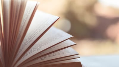 livre, pages, chapitres, ouvert, livre ouvert, pages de livre, littérature, connaissance, sagesse, lis, en train de lire, navigation, livre, livre, livre, livre, livre