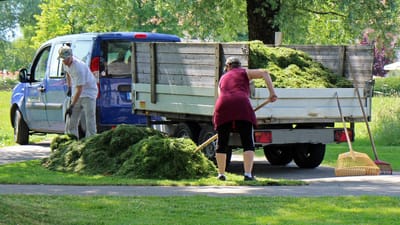 paysagiste, jardinier, jardinage, travailleurs, aménagement paysager, jardiniers, travailler, nature, jardin, parc