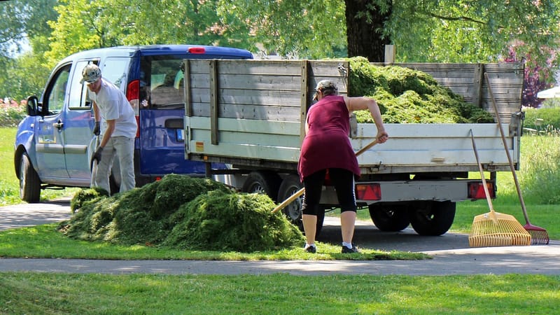 paysagiste, jardinier, jardinage, travailleurs, aménagement paysager, jardiniers, travailler, nature, jardin, parc