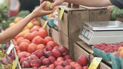 pommes, marché fermier, acheter, achat, consommateur, client, vendre, entreprise, accord, des fruits, donner, mains, produire, produits frais, stand de fruits, acheter, acheter, achat, achat, achat, achat, client, client, client, client, client, vendre, vendre, vendre, entreprise, donner, donner