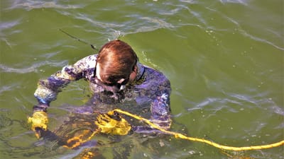 plongeur, commercial, attaché à pier, sous-marin, construction, travailler, océan, eau salée, coloré, nature, combinaison humide, plongeur gants, gants, la peau de plongée, quai de pêche, des travaux de réparation, réparation, ligne de sécurité, sécurité, sécurité de l'eau