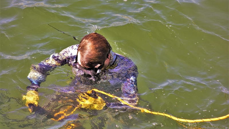 plongeur, commercial, attaché à pier, sous-marin, construction, travailler, océan, eau salée, coloré, nature, combinaison humide, plongeur gants, gants, la peau de plongée, quai de pêche, des travaux de réparation, réparation, ligne de sécurité, sécurité, sécurité de l'eau