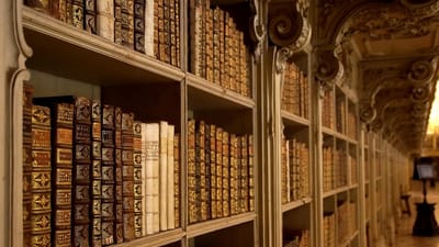 palais national de mafra, une bibliothèque, livres, le portugal, mafra, étagère à livres, étagère, vieux livres, ancien, antique, littérature, livres, livres, livres, livres, livres, mafra, vieux livres, vieux livres, antique, littérature, littérature, littérature