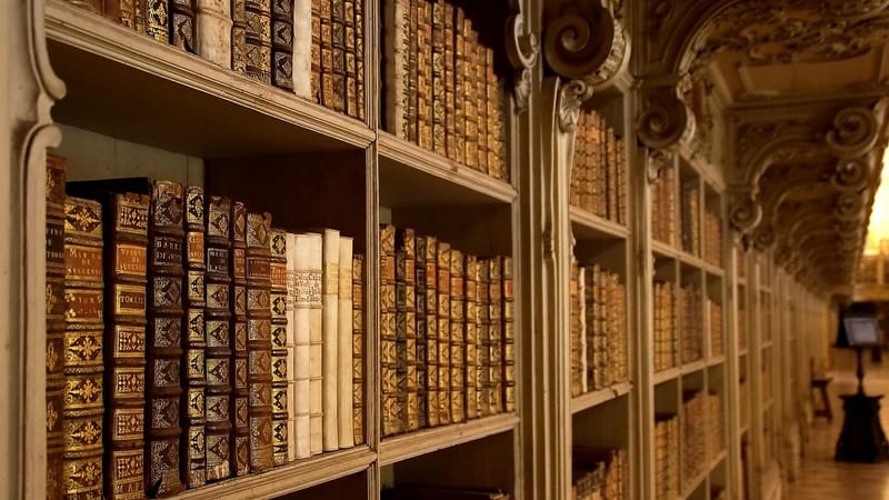 palais national de mafra, une bibliothèque, livres, le portugal, mafra, étagère à livres, étagère, vieux livres, ancien, antique, littérature, livres, livres, livres, livres, livres, mafra, vieux livres, vieux livres, antique, littérature, littérature, littérature