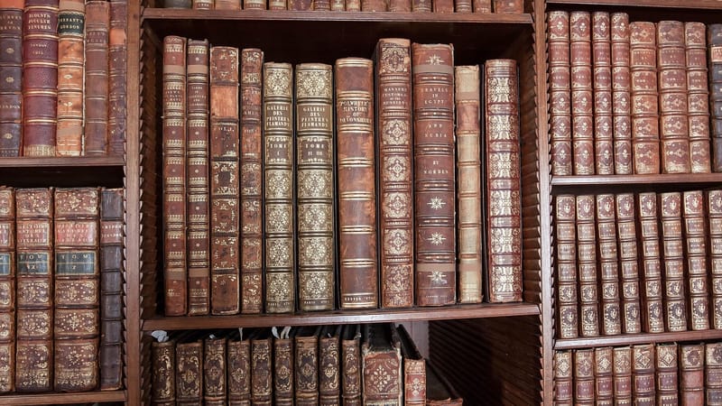 une bibliothèque, livres, vieux livres, livres anciens, connaissance, étagère à livres, bibliothèque, reliures en cuir, estampage d'or, livres, livres, livres anciens, bibliothèque, bibliothèque, bibliothèque, bibliothèque, bibliothèque
