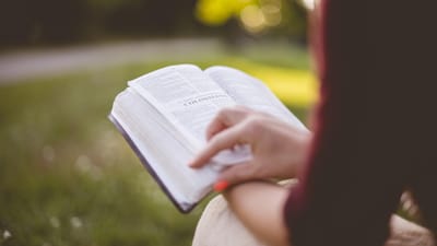 livre, université, éducation, fille, littérature, en plein air, papier, parc, gens, relaxation, l'été, femme, en train de lire, étudier, étudiant, livre brun, brown livres, brown de l'éducation, papier brun, brun lecture, le brun se détendre, nature, brun étude, brun l'été, brown park, l'étude de brown