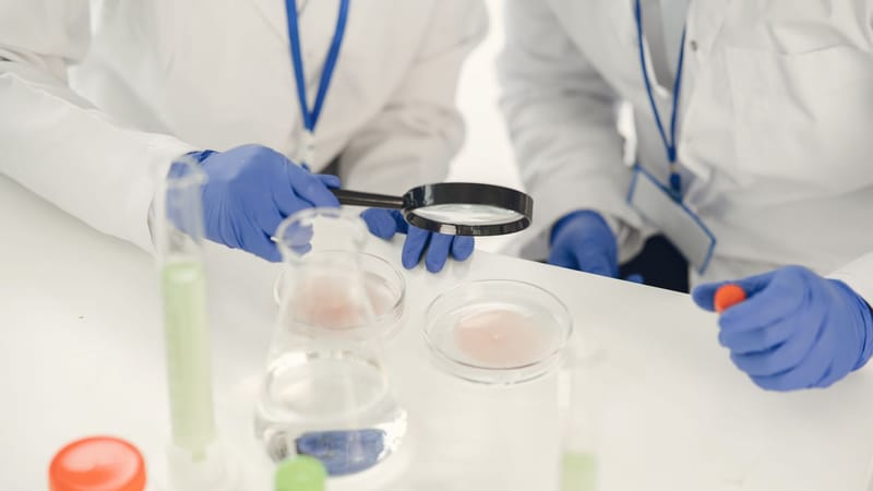 Des chercheurs en blouses de laboratoire examinant des échantillons et menant des expériences avec des tubes à essai et des boîtes de Petri.