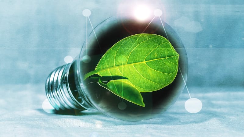ampoule, feuille, chlorophylle, vert, nature, feuille vert, léger, poire, bouffées de chaleur, énergie, transition énergétique, production d'énergie, ampoules, expérience, innovation, écologique, électricité, environnement, lumière électrique, économie d'énergie