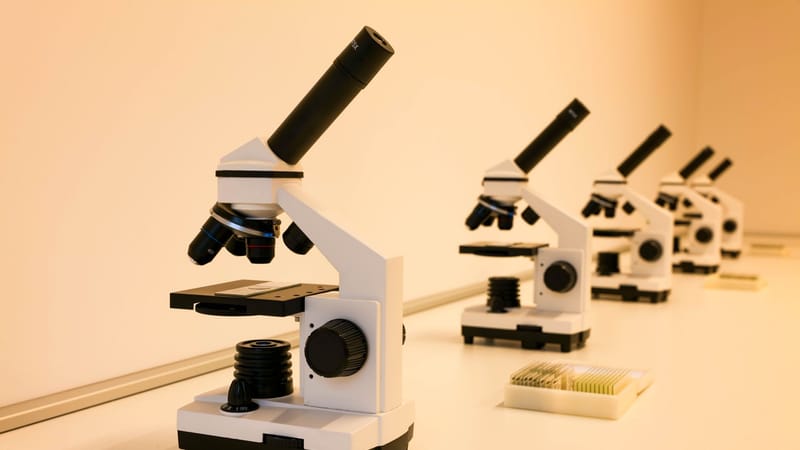 Une série de microscopes sur une table de laboratoire, idéale pour la recherche scientifique et l'éducation.
