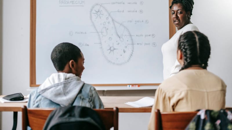 Des étudiants écoutent attentivement un enseignant expliquer des concepts de biologie sur un tableau blanc en classe.
