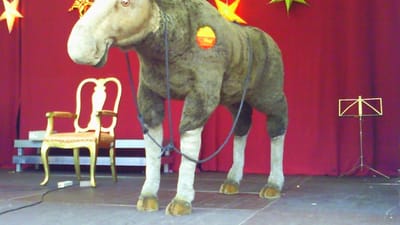 élan, wapiti, peluche, étape, performance, soutenir, divertissement, accessoires, théâtre, acte, spectacle, théâtral, agissant, rideau, tentures, présentation