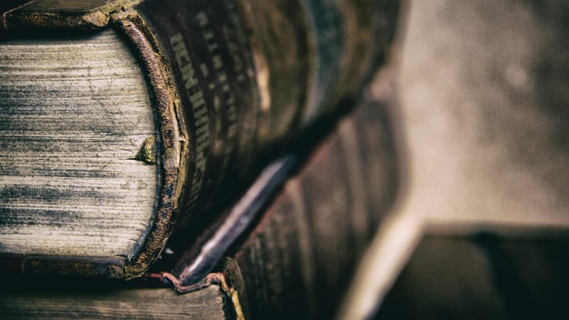 livre, une bibliothèque, information, la technologie, lecteur, littérature, page, les données, je suis un étudiant, rayonnage, l'école, sagesse, apprendre, brun de la technologie, brun école, brown library, brun apprentissage, brun de données, brun de l'information