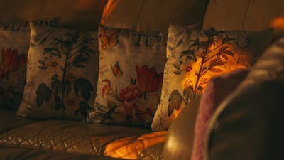 salon, oreillers, sofa, pièce, un meuble, chaise, design d'intérieur, décoration d'intérieur