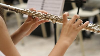 la musique, le jazz, flûte, musicien, instrument, du son, orchestre, concert, bande, joueur, musique classique, mains, en jouant, jeune, classique, musical, mélodie, artiste, blanche, harmonie, flûte, flûte, flûte, musicien, orchestre, orchestre, orchestre, orchestre, orchestre, harmonie