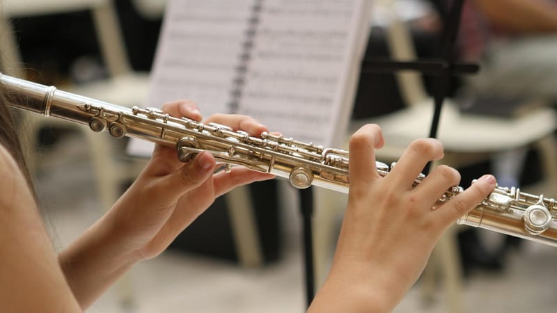 la musique, le jazz, flûte, musicien, instrument, du son, orchestre, concert, bande, joueur, musique classique, mains, en jouant, jeune, classique, musical, mélodie, artiste, blanche, harmonie, flûte, flûte, flûte, musicien, orchestre, orchestre, orchestre, orchestre, orchestre, harmonie