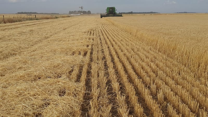 campagne, agriculture, agro, argentine, necochea