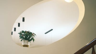 Design d'intérieur contemporain avec une fenêtre ovale et une plante suspendue, créant une esthétique minimaliste.