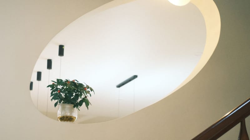 Design d'intérieur contemporain avec une fenêtre ovale et une plante suspendue, créant une esthétique minimaliste.