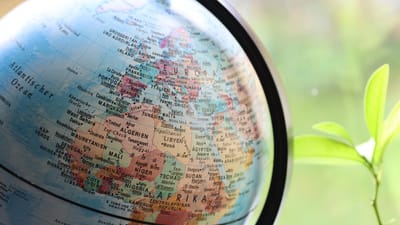 afrique, croissance, développement, plante, léger, nature, boom, entreprise, carte du monde, bourse, globe, carte du monde, monde, continent, terre, la géographie, carte, l'europe , marché mondial