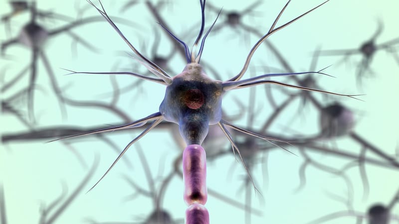 neurones, cellule neuronale, la biologie, nerfs, système nerveux, médical, science, fermer, neurones, neurones, neurones, neurones, neurones, système nerveux