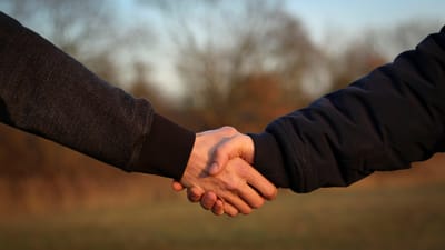 poignée de main, mains, relation amicale, copains, hommes, saluer, contact, promettre, connexion, poignée de main, poignée de main, poignée de main, poignée de main, poignée de main, connexion