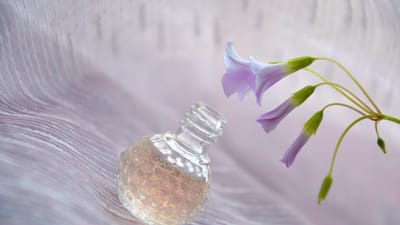 parfum, parfumerie, nature, belles fleurs, flairer, bouteille, sentir, fond d'écran fleur, fraîcheur, aromathérapie, liquide, verre, fleurs, flower background, pétales