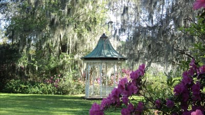 gazebo, pelouse, pavillon, aménagement paysager, scénique, jardin, l'été, cour, tranquille, paisible, flower background, ornemental, décoratif, fleurs, arbustes, des arbres, belles fleurs, feuillage, gazon, paysagers, nature, relaxation, fond d'écran fleur, vert paysage, vert vous détendre, herbe verte, le vert de l'été, paix verte