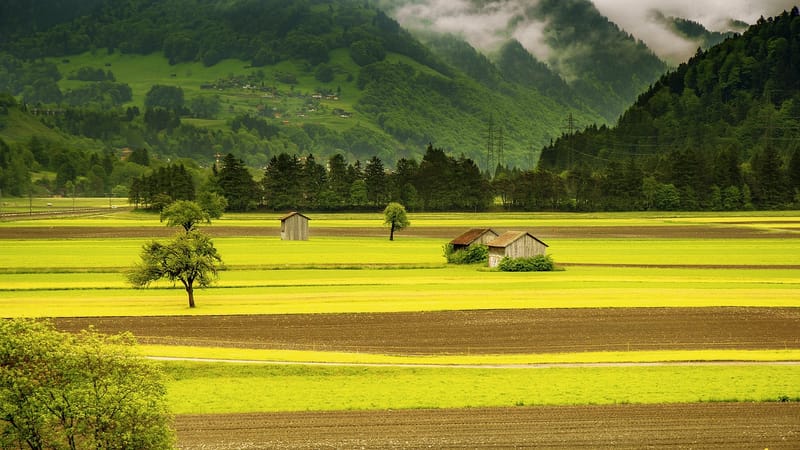 sur le terrain, vallée, paysage, la campagne, prairie, cultiver, rural, cabane, terres arables, village, nature, grüsch, schiers, les grisons, grisons, suisse, paysage, paysage, paysage, paysage, paysage, prairie, village, village, nature, suisse, suisse