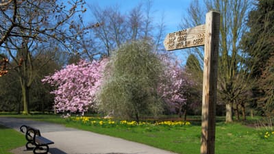 la flèche, la campagne, direction, sentier, randonnée, paysage, nature, extérieur, chemin, publier, publique, signer, poteau indicateur, le printemps, piste, des arbres, marcher, façon, bois