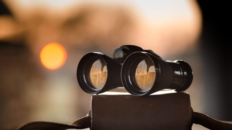 jumelles, crépuscule, le coucher du soleil, observation des oiseaux, scène, nature, optique, nuit, bokeh, équipement, antique, musée, observation, nuit brune, brun bokeh