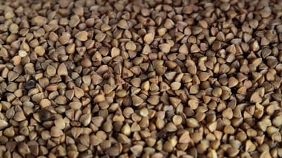 sarrasin, des céréales, régime, nourriture diététique, aliments, sarrasin, sarrasin, sarrasin, sarrasin, sarrasin