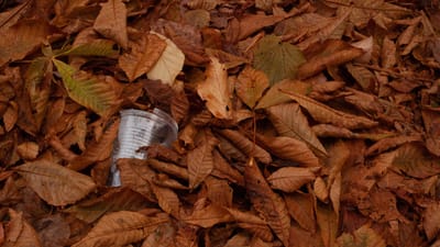 plastic, coupe en plastique, feuilles, packaging waste, take away, nature, garbage, waste