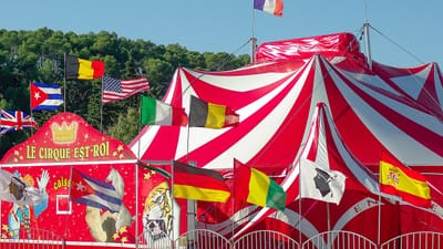 cirque, chapiteau, tente de cirque, spectacle, cirque, cirque, cirque, cirque, cirque