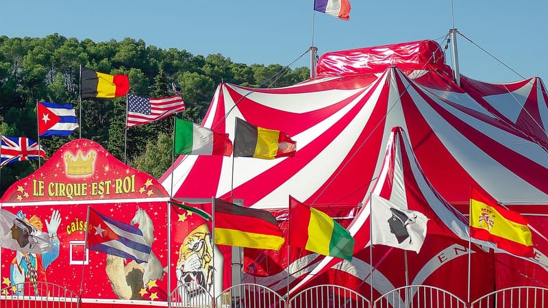 cirque, chapiteau, tente de cirque, spectacle, cirque, cirque, cirque, cirque, cirque