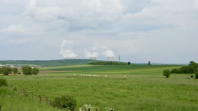 nucléaire, plantes, le mouton, troupeau, nature, industrie, radiation, radioactif, fumée, la physique, environnement, énergie, électricité, atome, la technologie, fumer, fleuve, cheminée