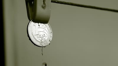 monnaie brésilienne, sonné, comptabilité, budget, salaire, éducation financière