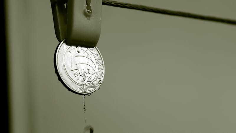 monnaie brésilienne, sonné, comptabilité, budget, salaire, éducation financière