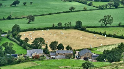 agriculture, cultiver, cultures, des champs, verdure, rural, agriculture, agriculture, agriculture, agriculture, agriculture, rural