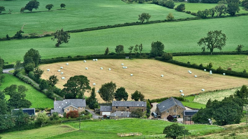 agriculture, cultiver, cultures, des champs, verdure, rural, agriculture, agriculture, agriculture, agriculture, agriculture, rural