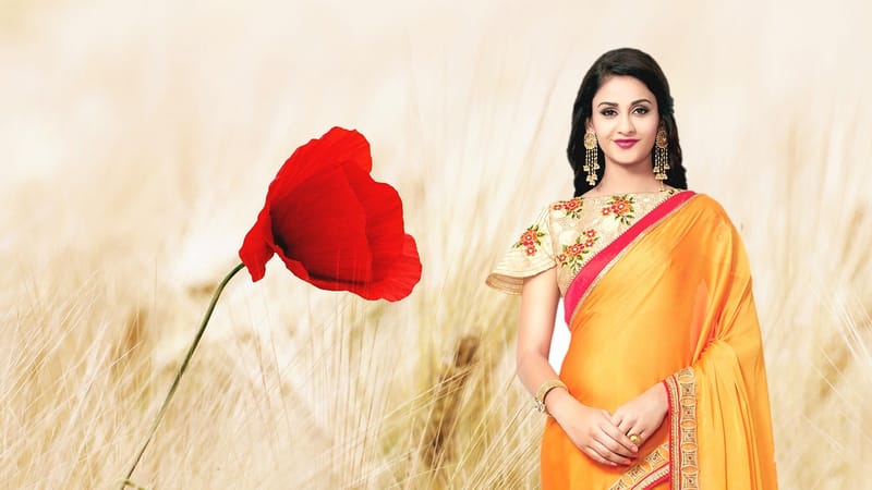 les femmes indiennes, traditionnellement, sari, indien, femmes, indigène, vêtements, designer, maquette, fille, fantaisie, mode, femme, style, exclusif