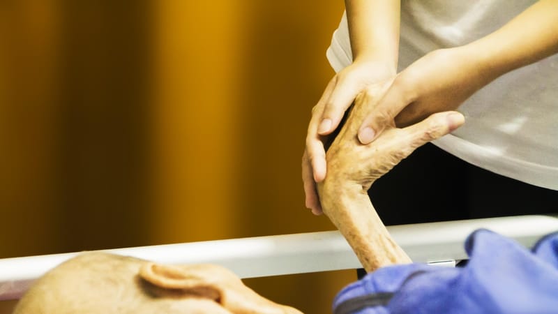 hospice, main dans la main, tennant la main, support, âgé, patient, vieille, infirmière, vieilli, invalidité, portion, allaitement, désactivée, soins aux personnes âgées, pour l'entraide, coup de main, brun soutien, brun aider, brown personnes âgées, brun soins