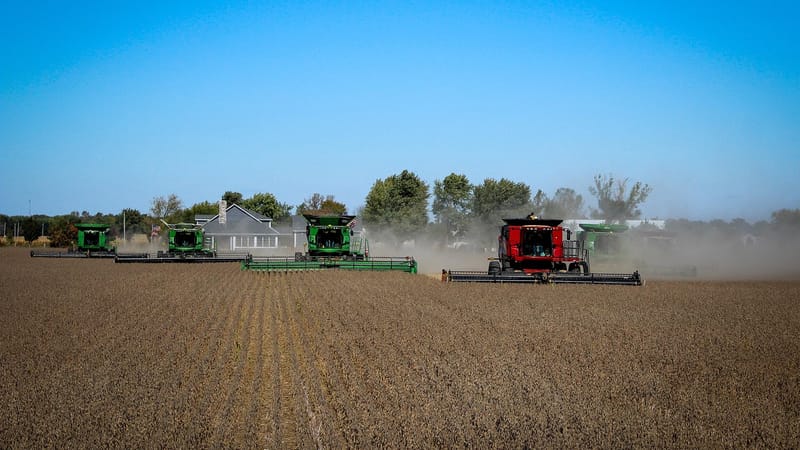 récolter, combine, soja, agriculture, grain, sur le terrain, tracteur, rural, harvester, récolte, cultiver, aliments, nutrition, automne, agronomie